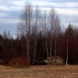 IMG 1537