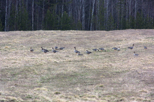 IMG 1518.jpg