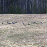 IMG 1518