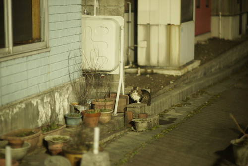 A7SDSC01938.jpg