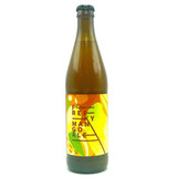 Freeky Mango Ale Maryensztadt Piwo 3 scaled