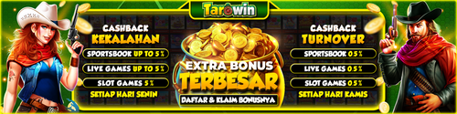 TAROWIN HS3A.png