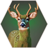 OARA Leafed Stag Photo.png