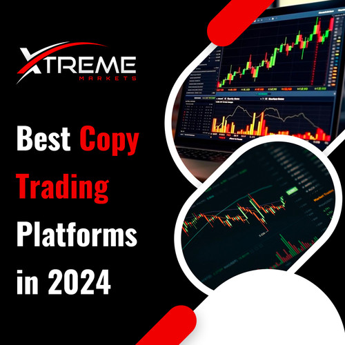 Best Copy Trading Platforms in 2024.jpg