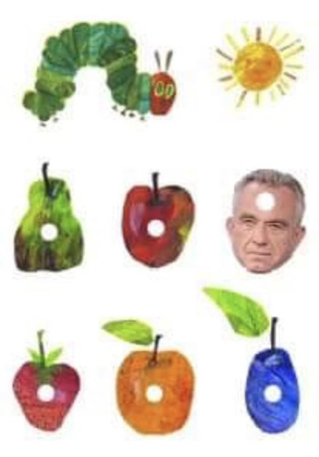 440377044 859074236257976 1947265304194321850 n.jpg