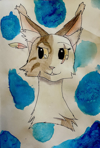 Maplefeather (no signature).jpg