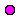 Pink.webp