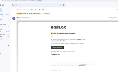 mailroblox.png