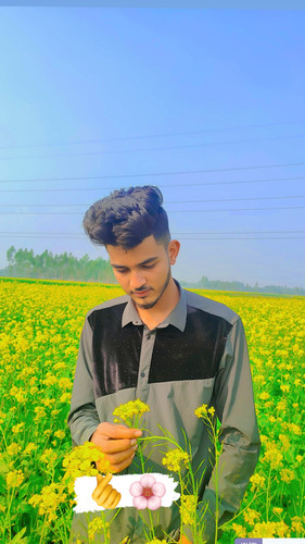IMG 1704616445838.jpg
