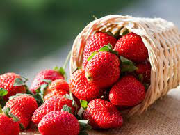 fruit1.jpg