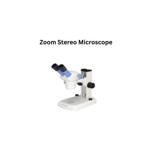 Zoom Stereo Microscope.jpg