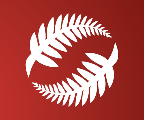 333999717 6357878810909041 5471529203217323035 n.jpg