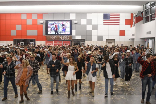 DSC 0412 900x600.jpg