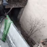 GIF 240110 145741.gif