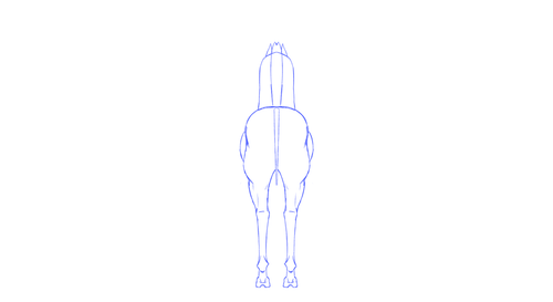 IMG 2418.png