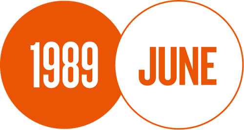 59347505 1703371494904.png