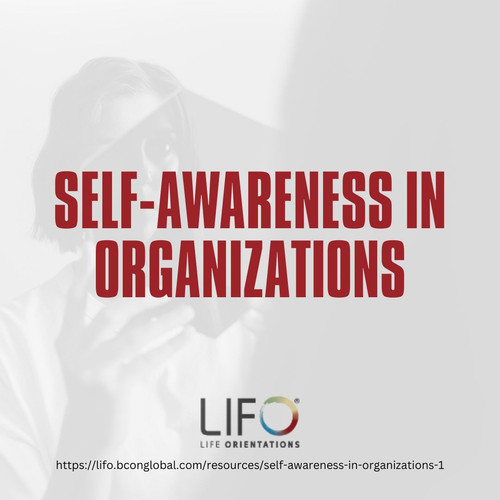 Self Awareness in Organizations.jpg