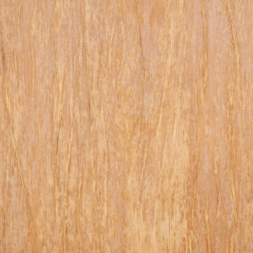 pexels fwstudio 129728.jpg
