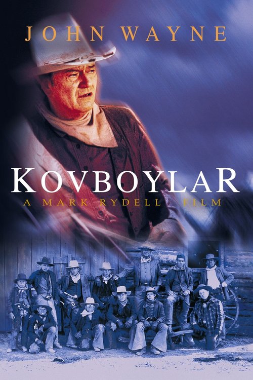 Kowboje / The Cowboys (1972) PL.1080.PL.BDRip.x264-wasik / Lektor PL