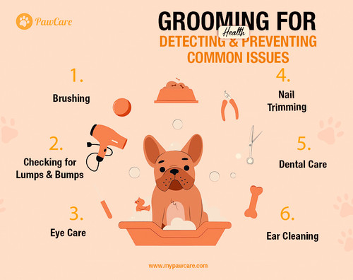 Grooming for Health Detecting and Preventing Common Issues.jpg