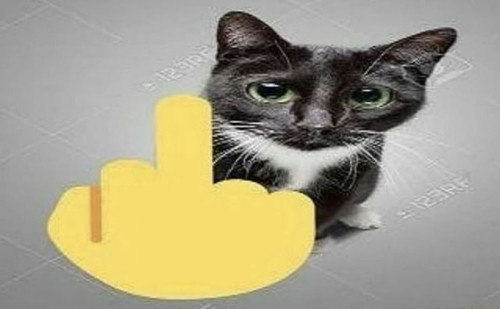 ef0e895ac3e3.jpg