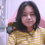 fd96ffb508c1.gif