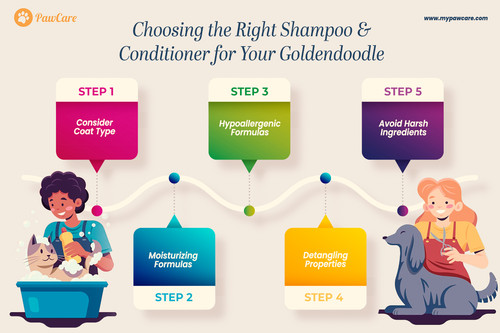 Choosing the Right Shampoo and Conditioner for Your Goldendoodle.jpg