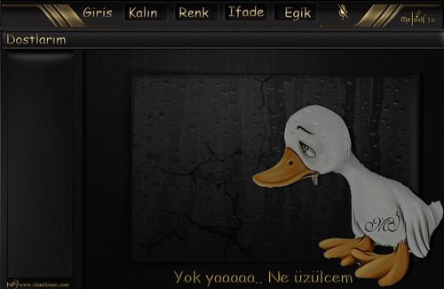 ne üzülcem.jpg