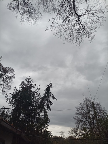 IMG 20240106 083222.jpg