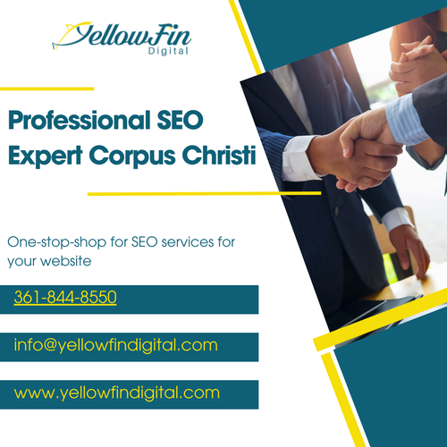 Professional SEO Expert Corpus Christi.png