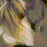 sobakot.gif