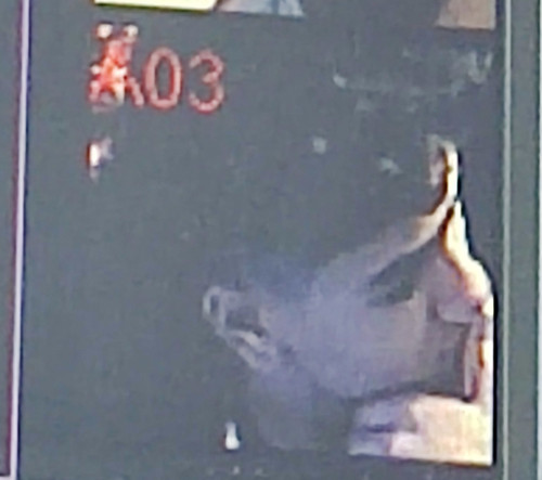 IMG 20240107 232204.jpg