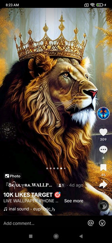 Screenshot 2024 01 06 08 23 17 681 com.zhiliaoapp.musically.jpg