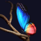 botdownloader.com 1704511413.634867.gif