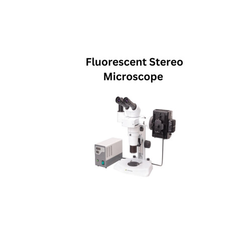 Fluorescent Stereo Microscope.jpg