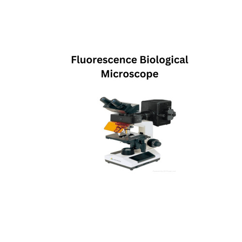 Fluorescence Biological Microscope.jpg