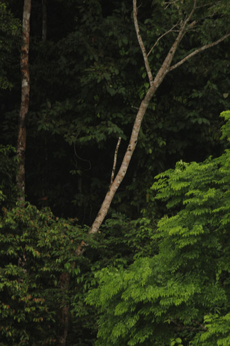 IMG 2270.jpg