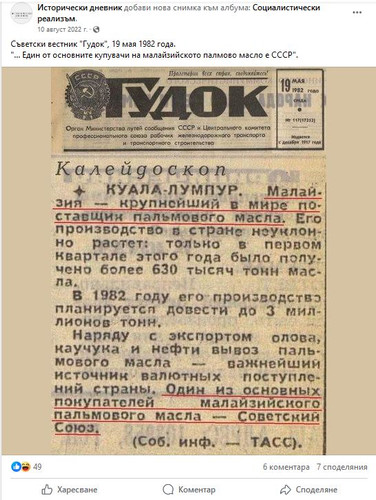 palmovo.jpg