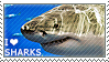 IMG 6641.png