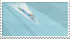 IMG 8540.gif