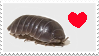 IMG 6639.png