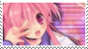 IMG 8436.png