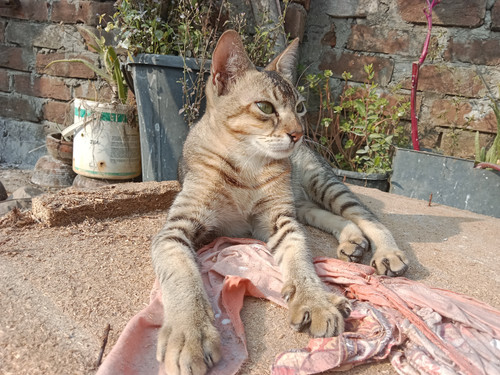 IMG 20240105 150021.jpg
