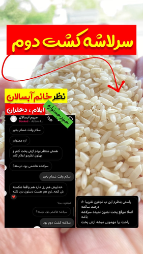 IMG 8237.png