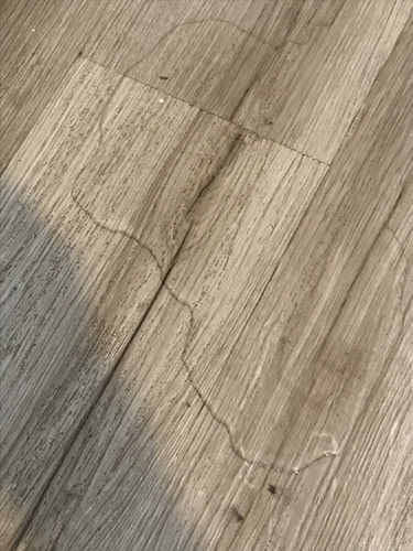 7F0BAC6E EAD1 4FE7 9942 F817DA581215.jpg