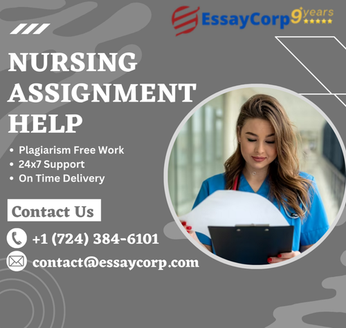 Nursing Assignment help.png