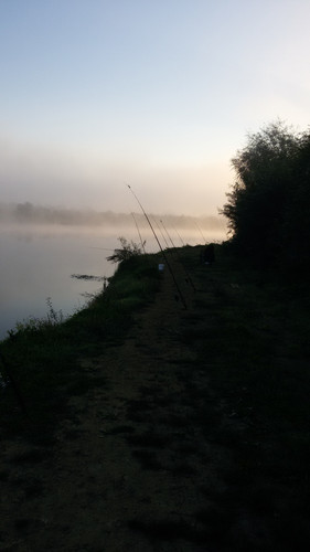 20180918 074528.jpg