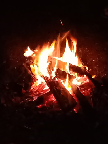 IMG 20231221 201311.jpg