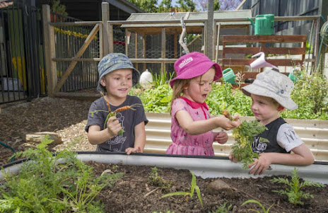 Affordable Preschool in Adelaide.jpg