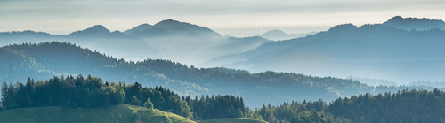 pexels krivec ales 580151.jpg